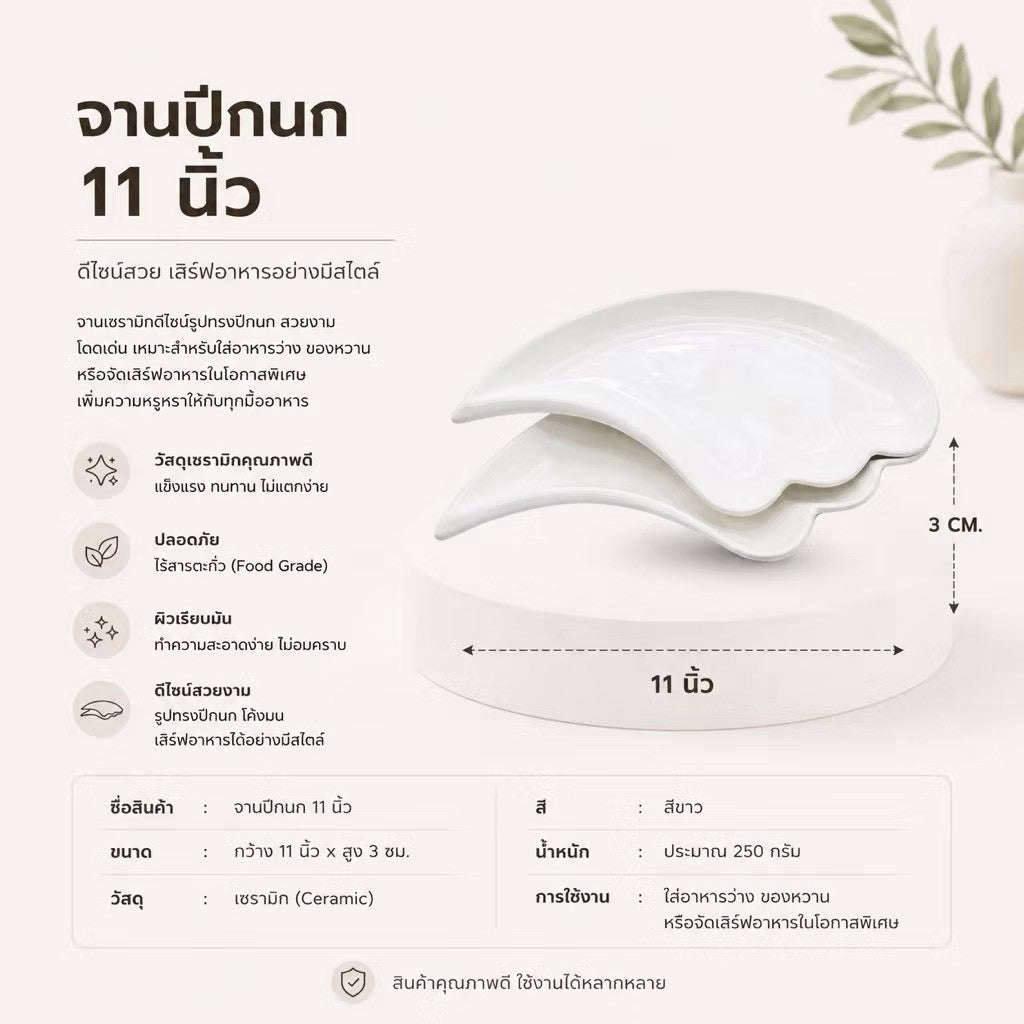 จานปีกนก